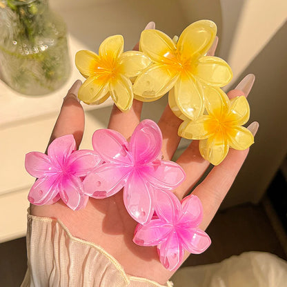Grande pince à cheveux fleur – Élégante & colorée
